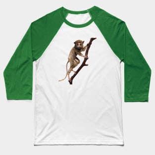 Funny Taxidermy Stuffed Animal Lemur Primate Baseball T-Shirt